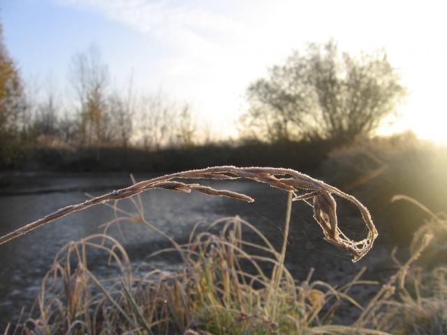 10-vylov-rybnika-29.10.2010 144